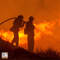 553. Fighting Wildland Fires with Benny the Russian Firefighter