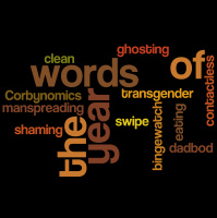 312. The Words of the Year (Part 3) with Amber amp Paul