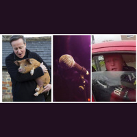 301. David Cameron amp The Pig / Bad Gig Story / Who is Ronnie Pickering? (A rambling episode)