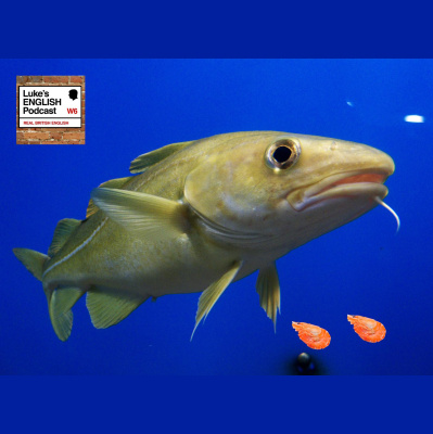 Lukes English Podcast - Learn British English With Luke Thompson