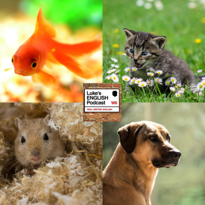 Lukes English Podcast - Learn British English With Luke Thompson