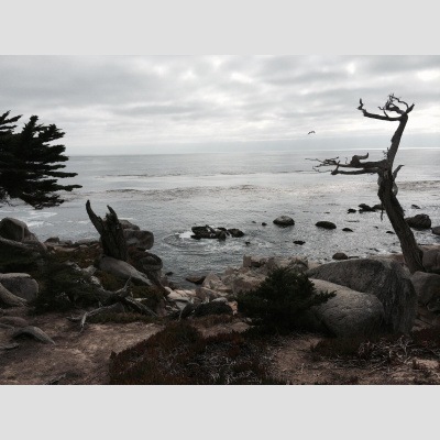 Lukes English Podcast - Learn British English With Luke Thompson