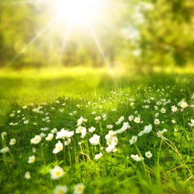 Lukes English Podcast - Learn British English With Luke Thompson