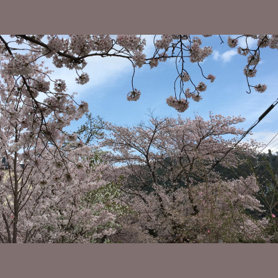 Lukes English Podcast - Learn British English With Luke Thompson