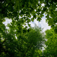 TTG Asks Aaron Carroll