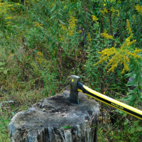 Original Transplants Episode 30