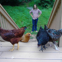 OriginalTransplantsE6T2