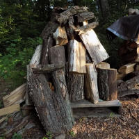 OriginalTransplantsEpisode7