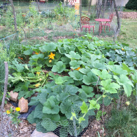 The Original Transplants Episode 21