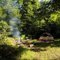 OriginalTransplants E8.MP3