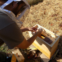 Original Transplants Episode 23