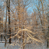 Ep. 35 - Countdown to Spring