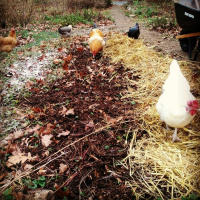 Ep 57: Heinz-sight is 2020