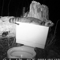 Ep 58: Spring Forward