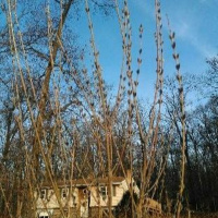 Ep. 42: Science Fiction