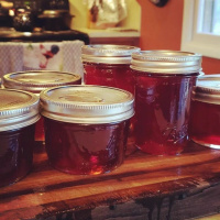 Ep 64: Supply Chain Resilience