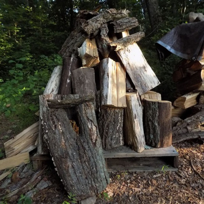 Original Transplants