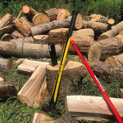 Original Transplants