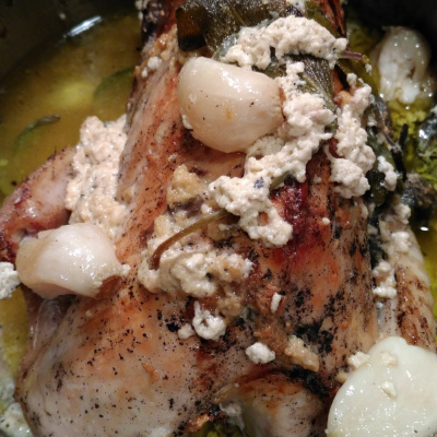 Original Transplants