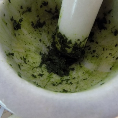 Original Transplants