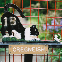 Learning Manx part 68