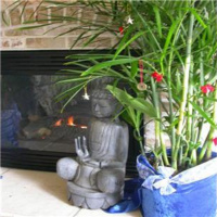 Feng Shui Fabulous: the 9 Life Areas