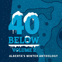 40 Below Volume 2 Sessions - Kat Cameron