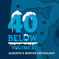 40 Below Volume 2 Sessions - Jenn Vandermeer