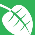 Sandvines Internet Phenomena Podcast