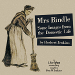 Mrs. Bindle by JENKINS, Herbert George