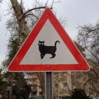 Turkiet dag 7: Guld, läder och gamla stan