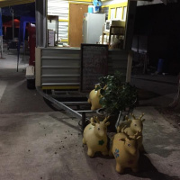 Thailand dag 7: Cykel, massage och vildsvin