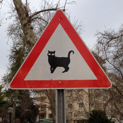 Marcus  Sophie Nohlbergs Posts