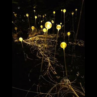 Marcus  Sophie Nohlbergs Posts