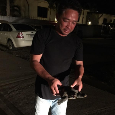 Marcus  Sophie Nohlbergs Posts