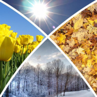 Physiology and Prosperity: You Can Change NOW!