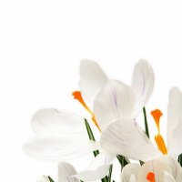 Learn To Trust Your Heart and Thive In Your Business?