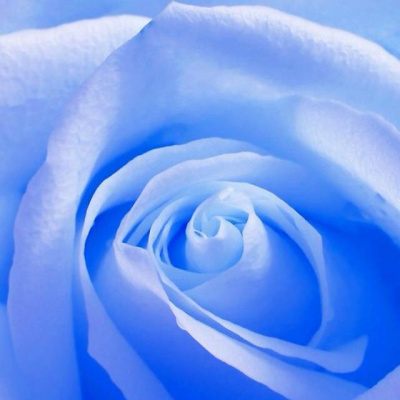 Patricia Gozlans Posts