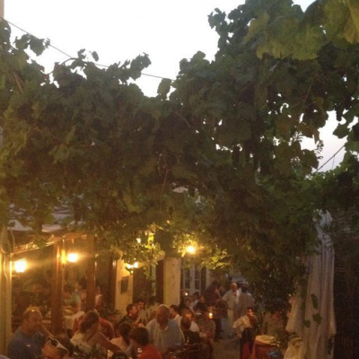 Patricia Gozlans Posts