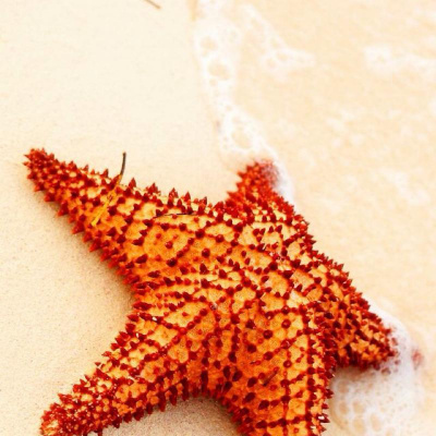 Patricia Gozlans Posts