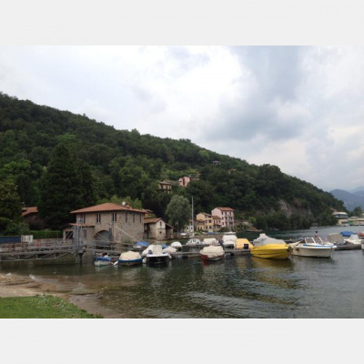 Patricia Gozlans Posts