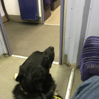 Last leg to Knaresborough