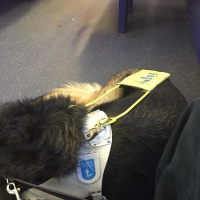 Crossing London by Tube... eventually! (In September 2015)