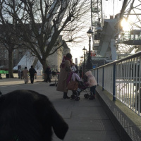 Guide dog training diary 2016: Day 14b - Southbank Walk Part 2