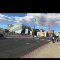 An update on the London Bridge sheep (September 2015)