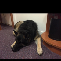 bruges trip: waking up before we go go