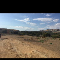 To Sicily: The Temple of Olympic Zeus