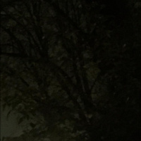 The sound of fireworks from my back door