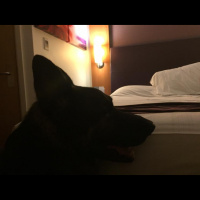 Bruges trip: Safely at the Premier Inn ... just!