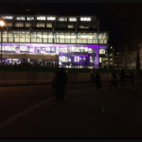 Guide dog working diary 2016: Day 28b - Pedestrian challenges in Westminster